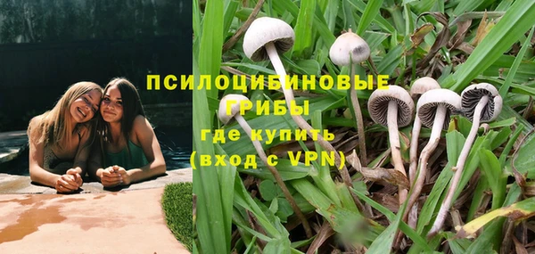 прущие грибы Богородск