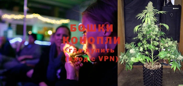 прущие грибы Богородск